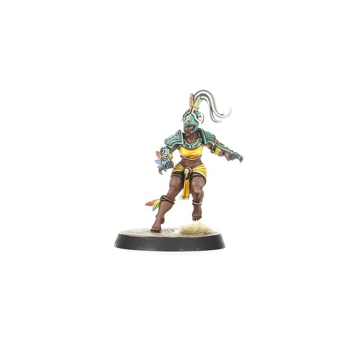 Blood Bowl: Amazon - Team