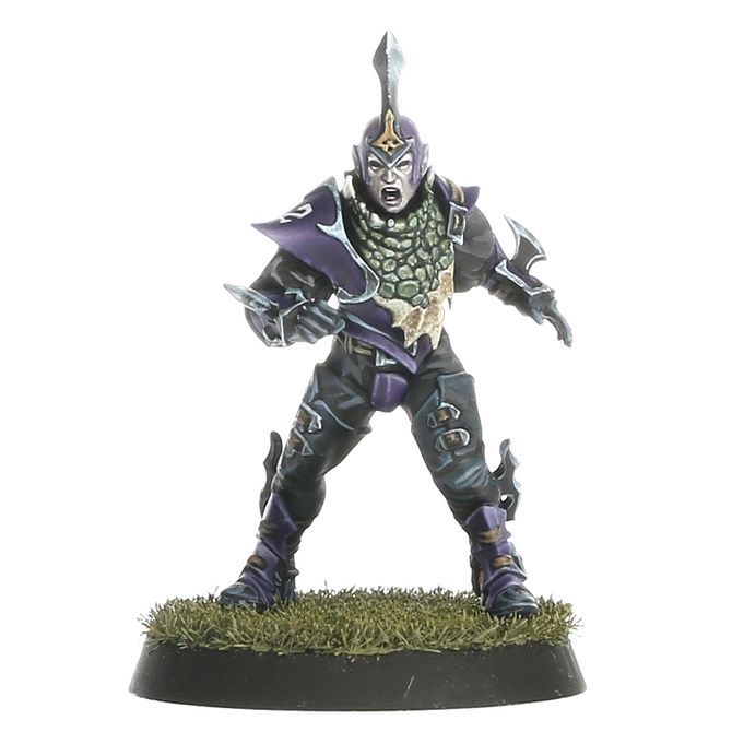 Blood Bowl: Dark Elf - Team