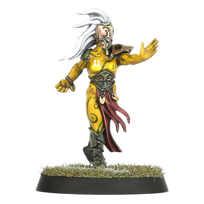 Blood Bowl: Wood Elf - Team