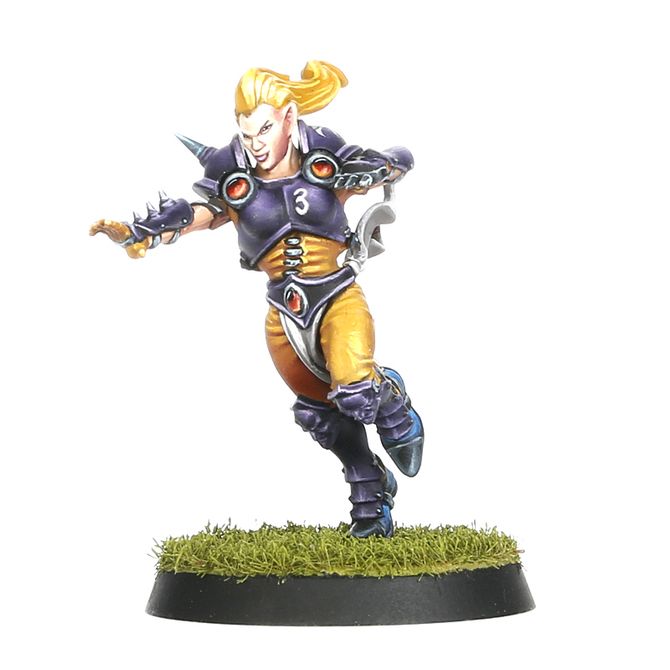 Blood Bowl: Elven Union - Team