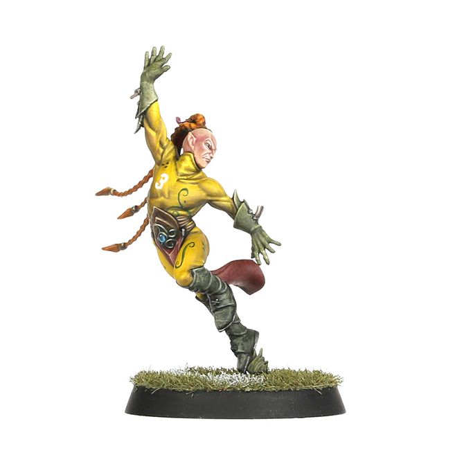 Blood Bowl: Wood Elf - Team