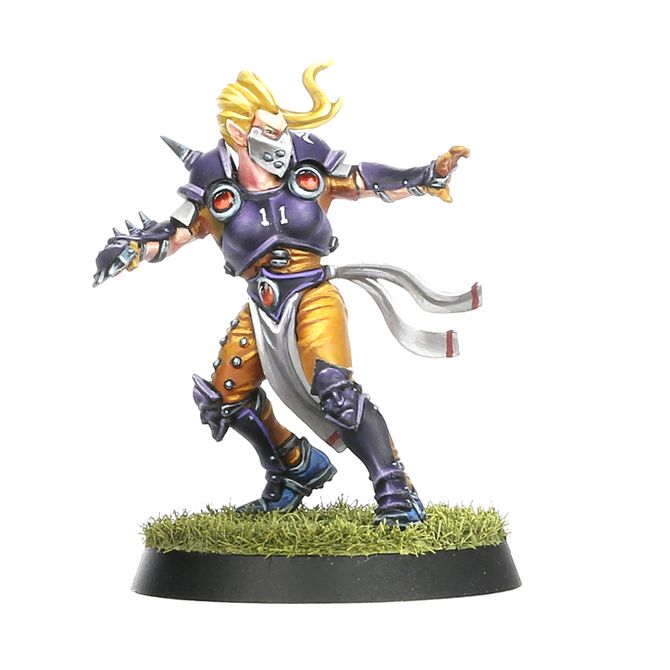 Blood Bowl: Elven Union - Team