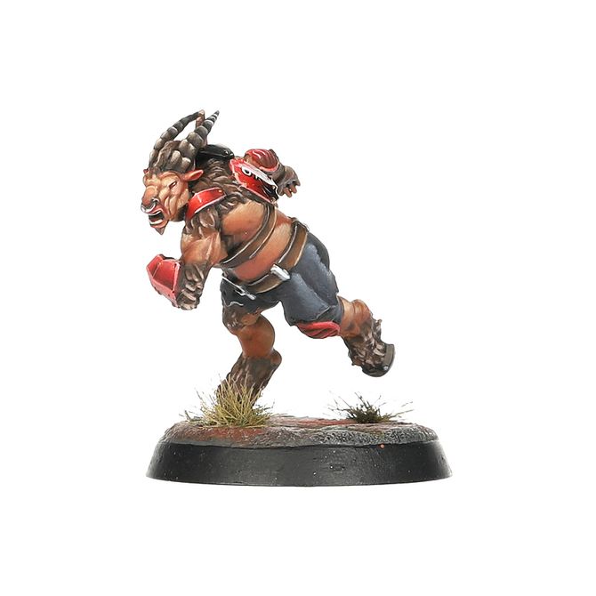 Blood Bowl: Chaos Chosen - Team