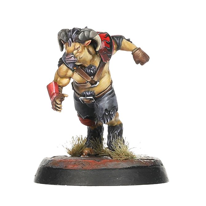 Blood Bowl: Chaos Chosen - Team