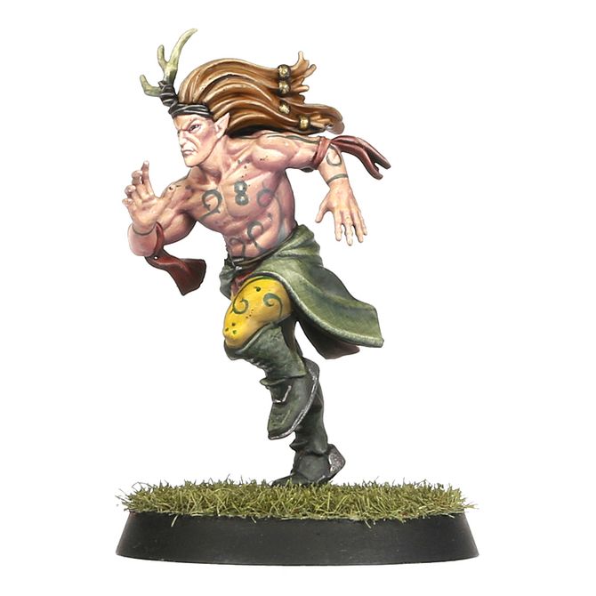 Blood Bowl: Wood Elf - Team