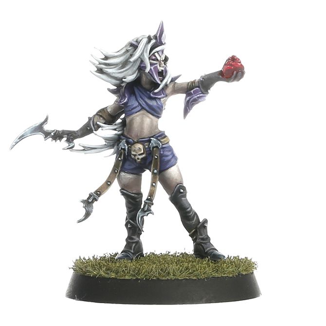 Blood Bowl: Dark Elf - Team